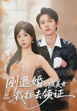刚退婚,被美女总裁拉去领证