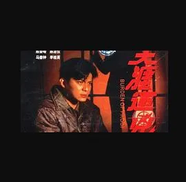 天涯追凶国语